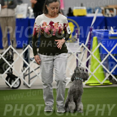 Ring-1-Morning-Obedience_0035