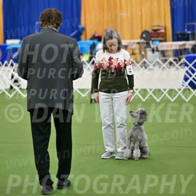 Ring-1-Morning-Obedience_0056