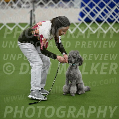 Ring-1-Morning-Obedience_0058