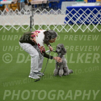 Ring-1-Morning-Obedience_0060