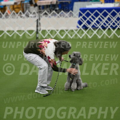 Ring-1-Morning-Obedience_0063