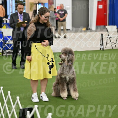 Ring-1-Morning-Obedience_0194