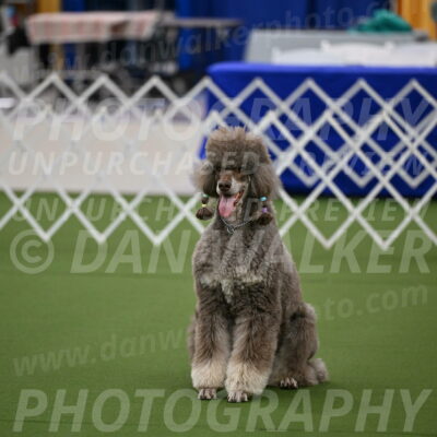 Ring-1-Morning-Obedience_0220