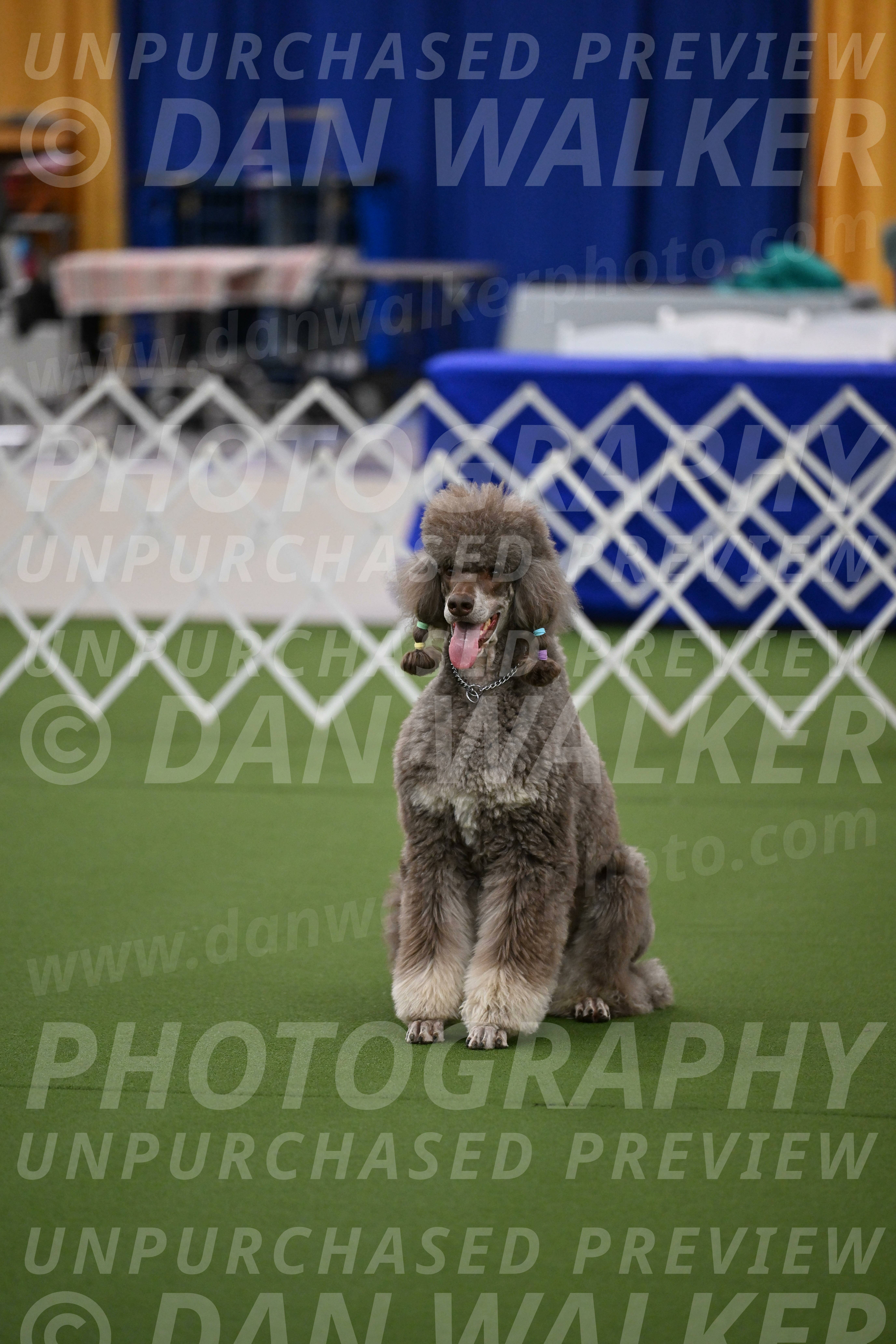 Ring-1-Morning-Obedience_0220