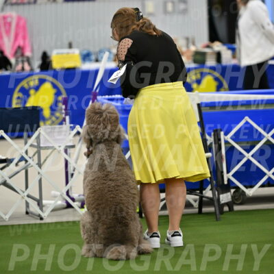 Ring-1-Morning-Obedience_0309