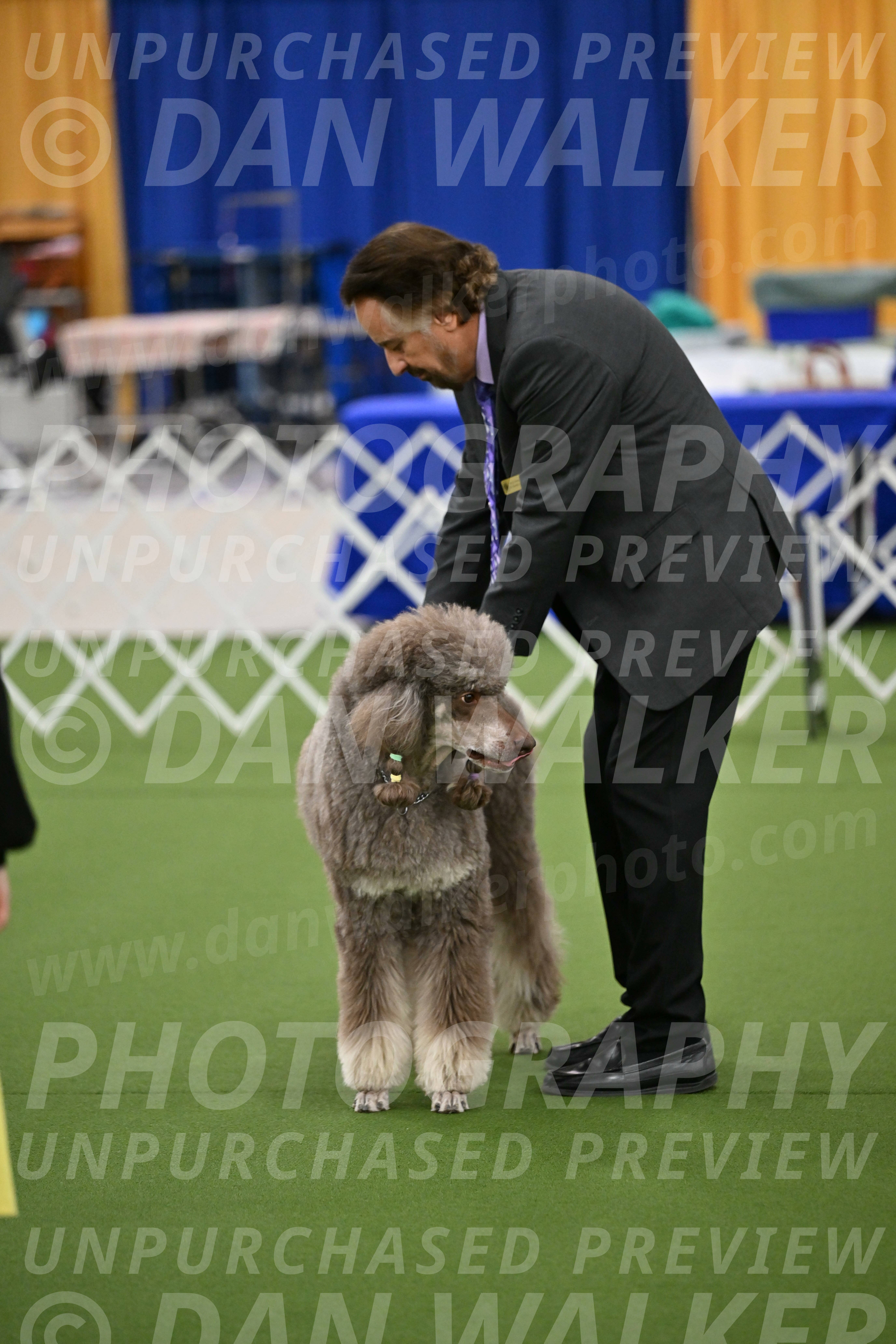 Ring-1-Morning-Obedience_0369