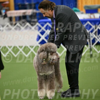 Ring-1-Morning-Obedience_0369