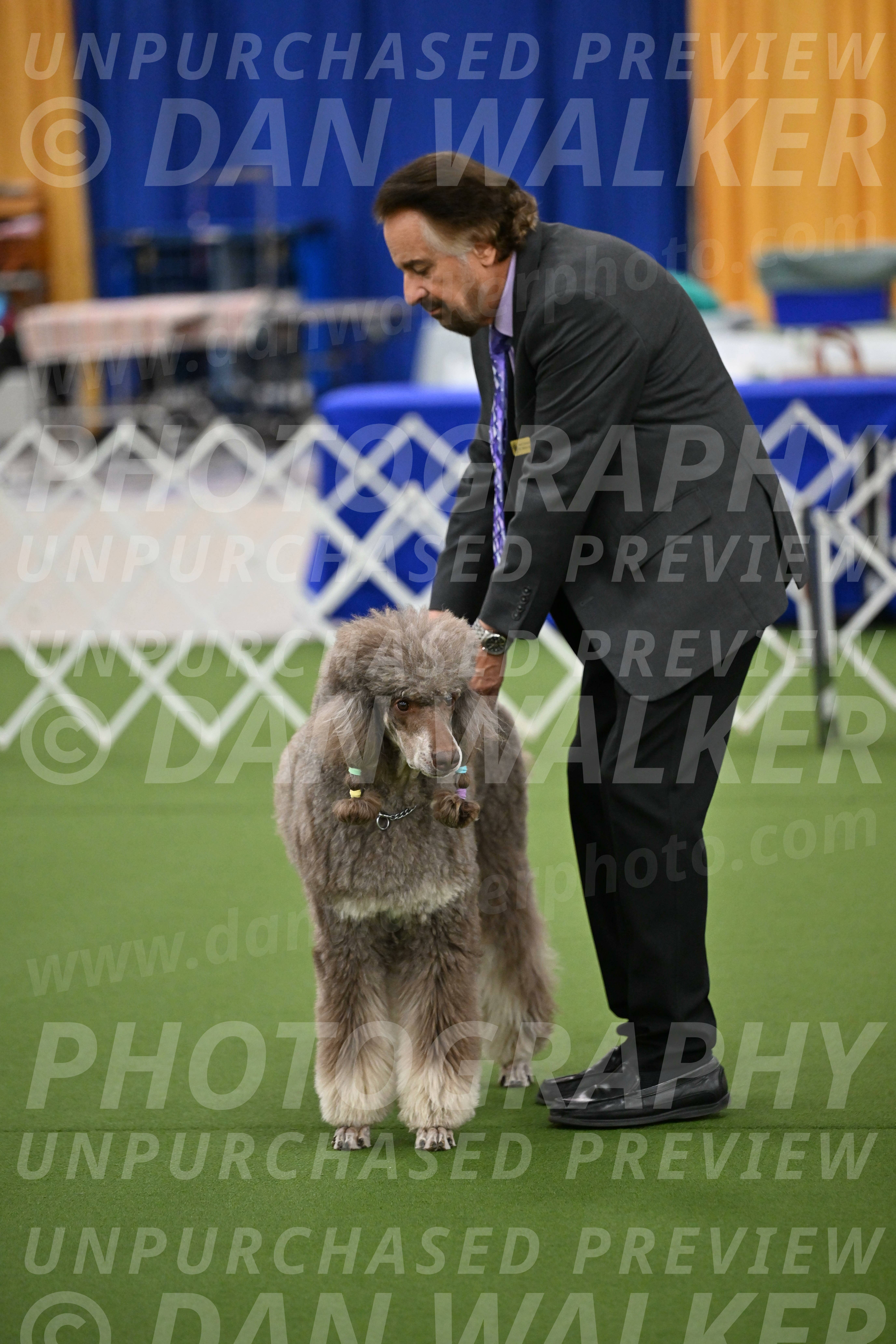 Ring-1-Morning-Obedience_0371