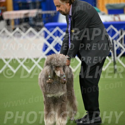 Ring-1-Morning-Obedience_0371