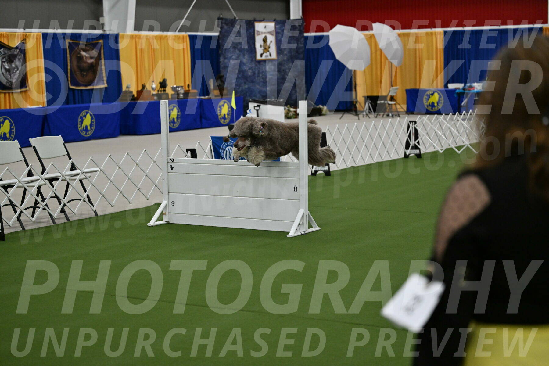 Ring-1-Morning-Obedience_0387