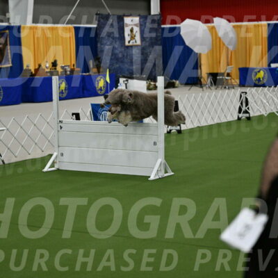 Ring-1-Morning-Obedience_0387