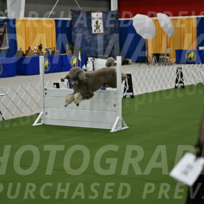 Ring-1-Morning-Obedience_0388