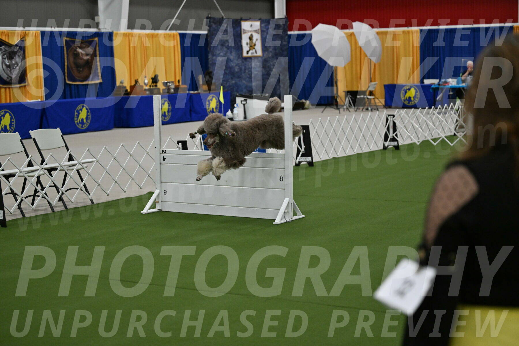 Ring-1-Morning-Obedience_0388