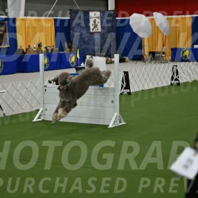 Ring-1-Morning-Obedience_0389