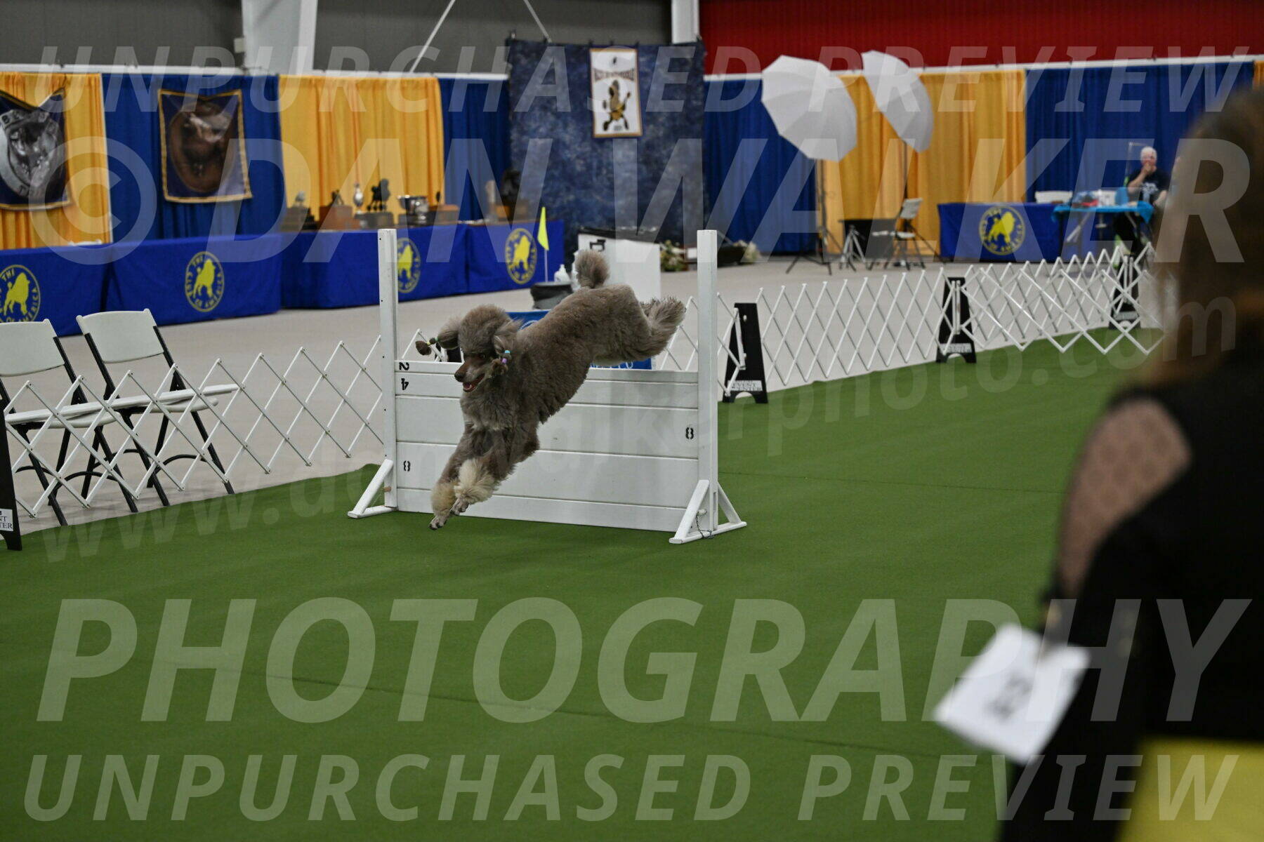 Ring-1-Morning-Obedience_0389