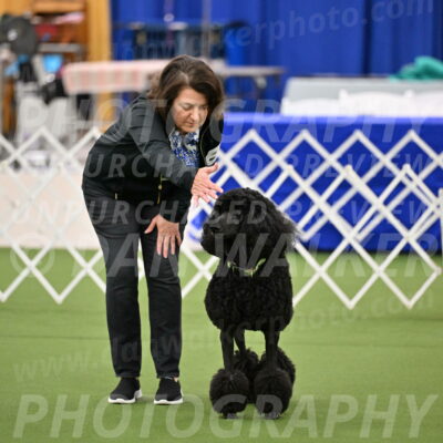 Ring-1-Morning-Obedience_0436