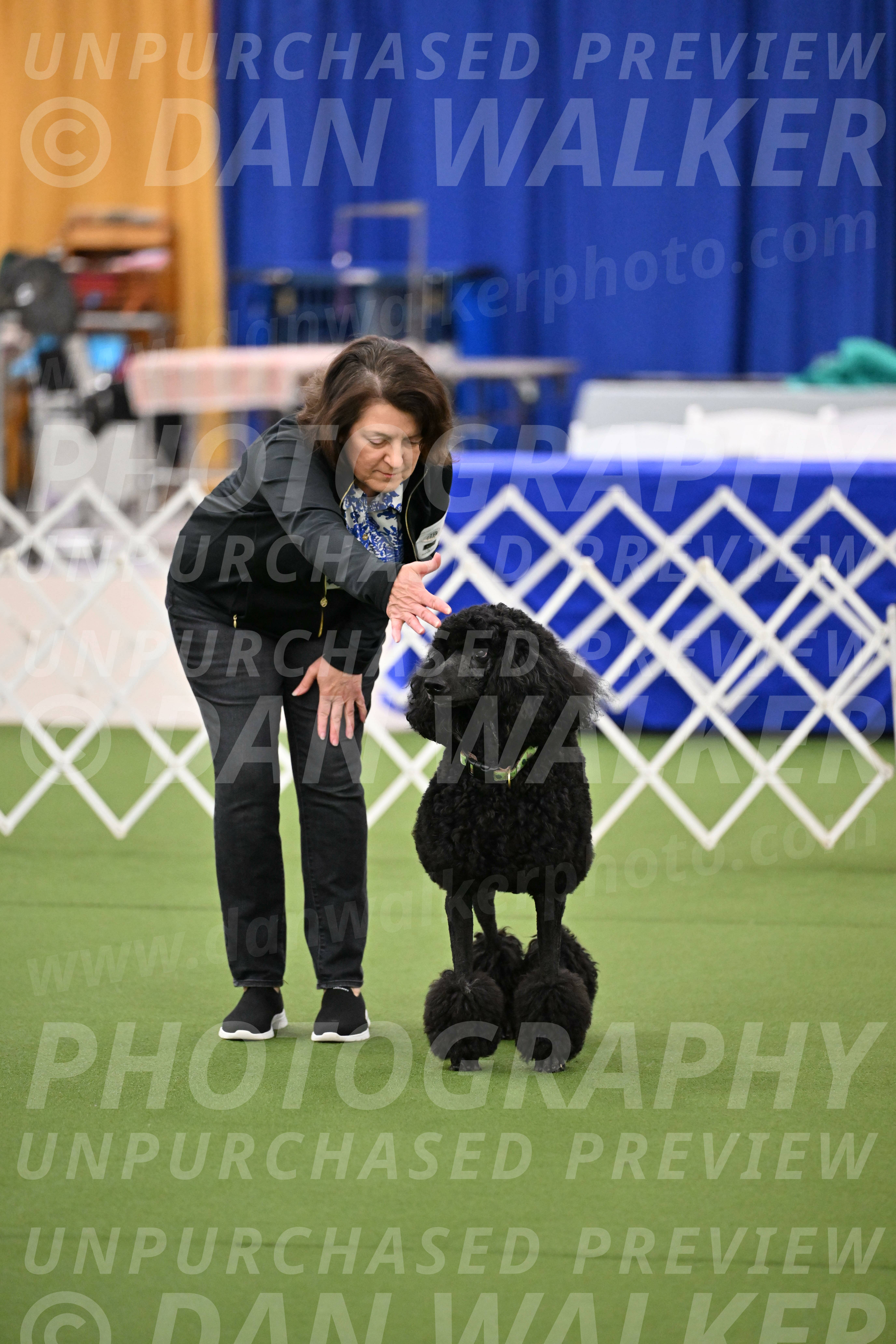 Ring-1-Morning-Obedience_0436