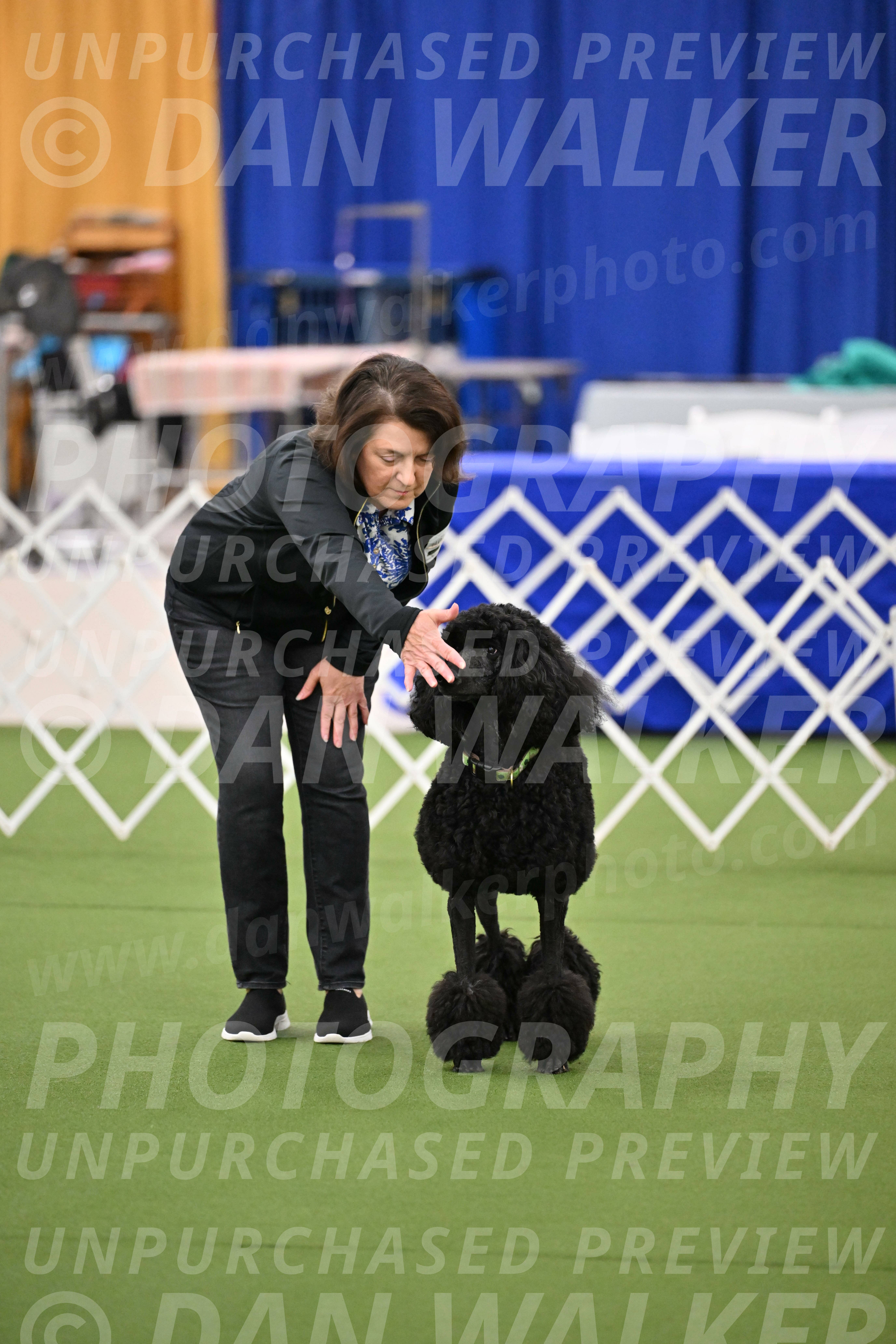 Ring-1-Morning-Obedience_0437