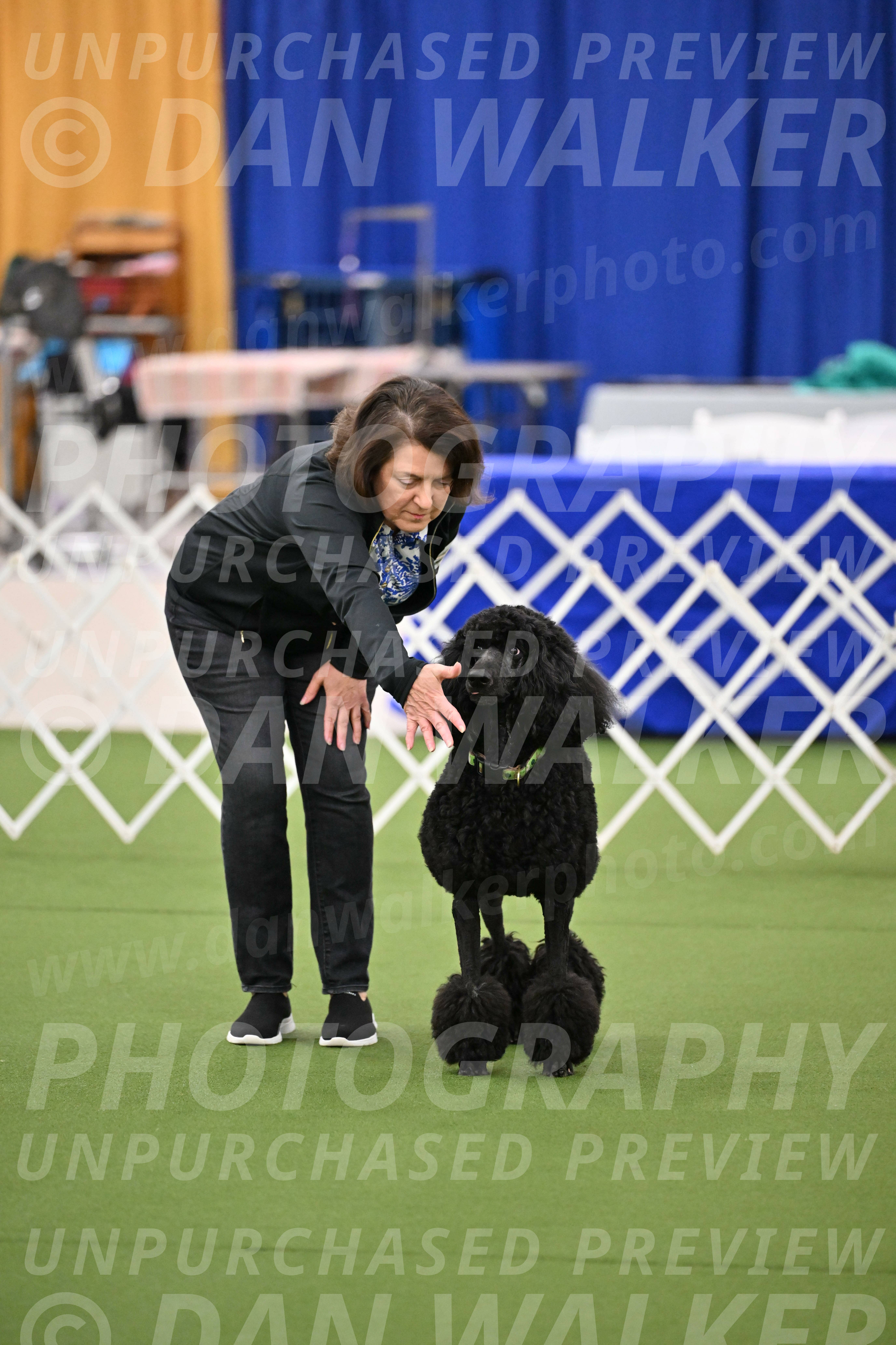 Ring-1-Morning-Obedience_0438