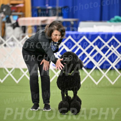 Ring-1-Morning-Obedience_0439