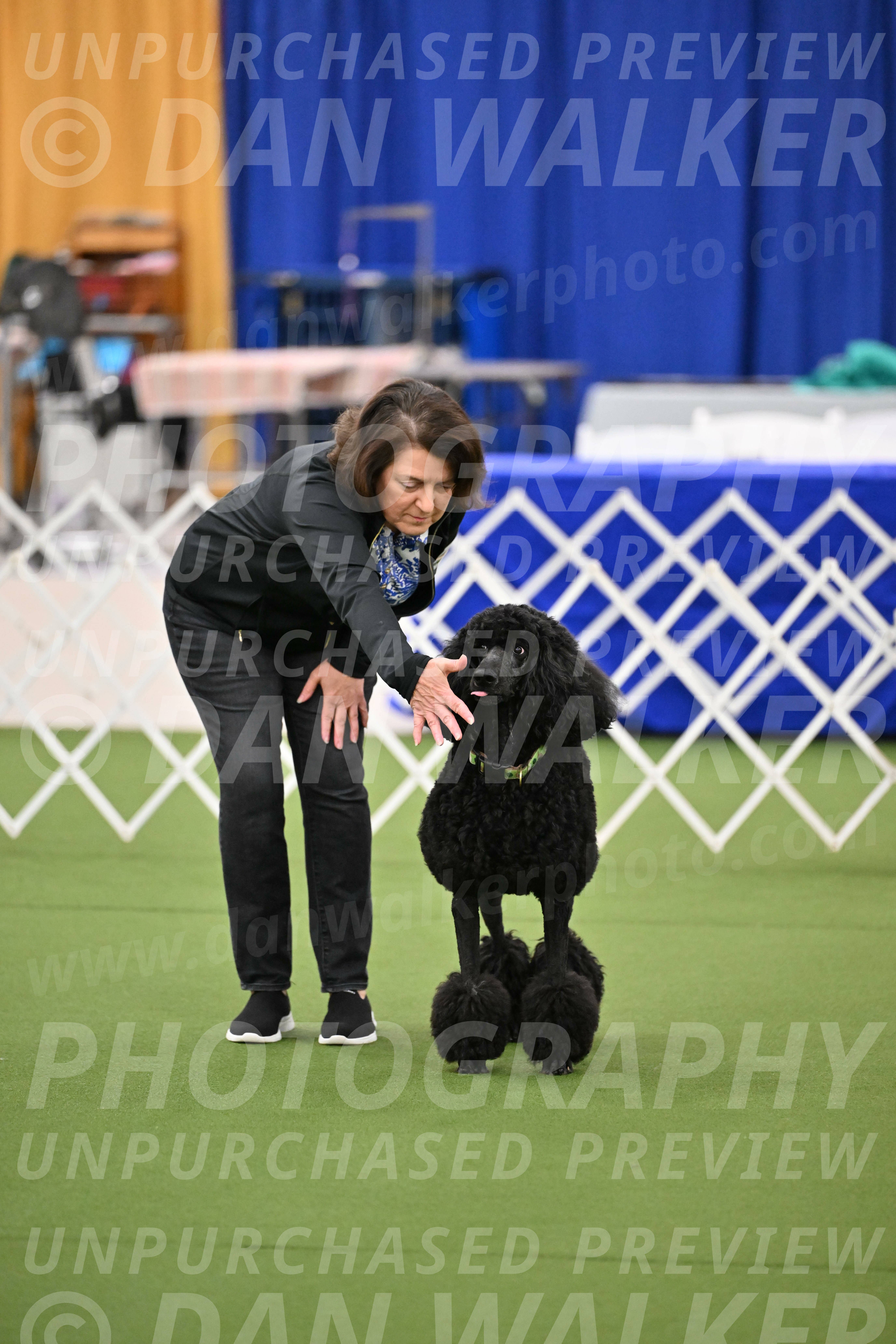 Ring-1-Morning-Obedience_0439