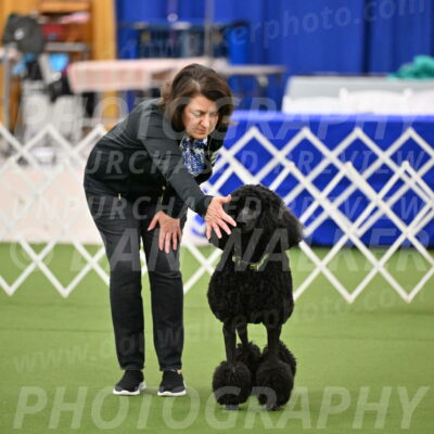 Ring-1-Morning-Obedience_0440