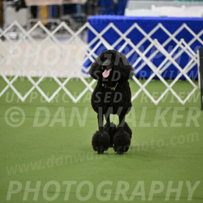 Ring-1-Morning-Obedience_0444