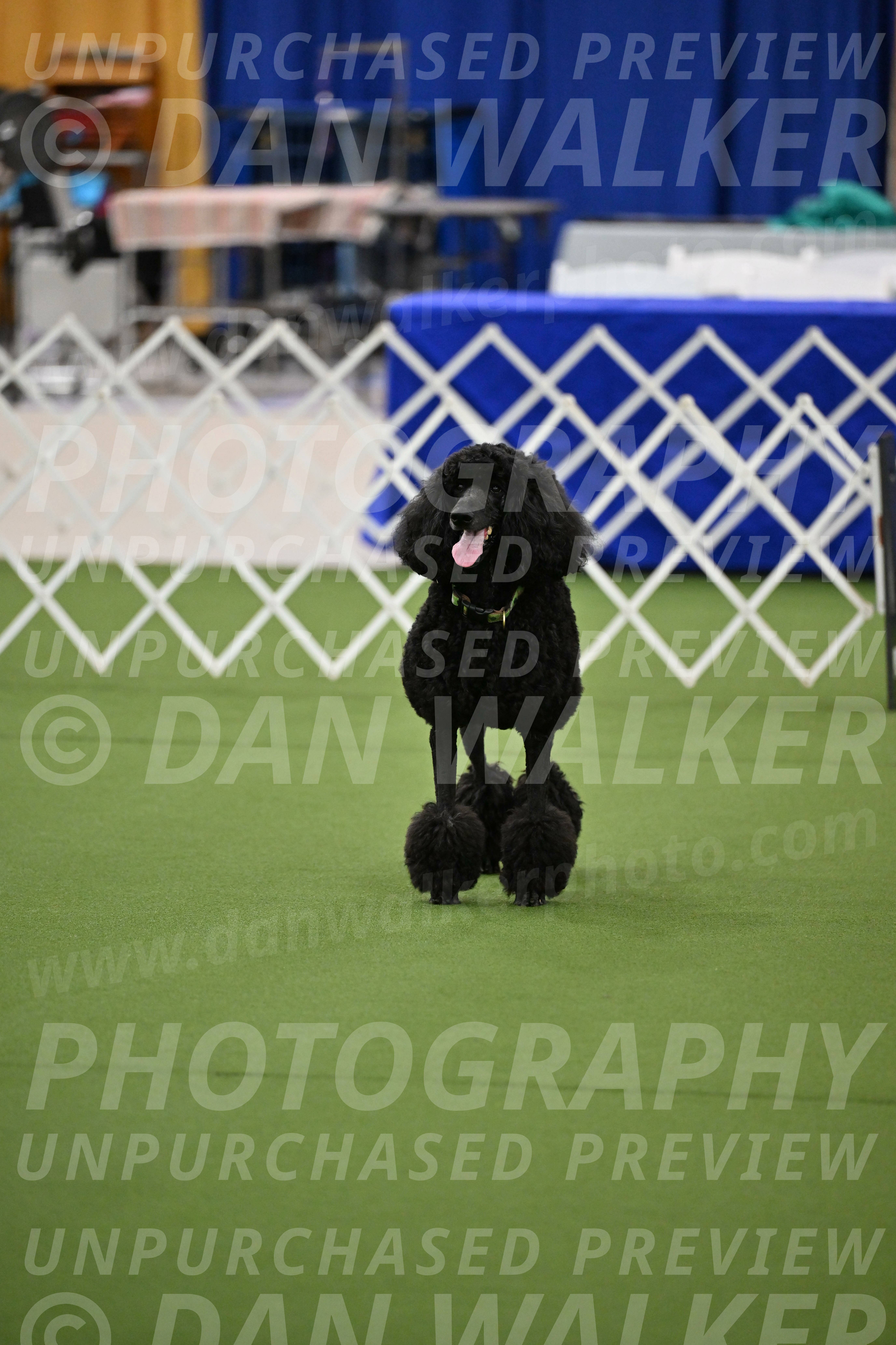 Ring-1-Morning-Obedience_0444