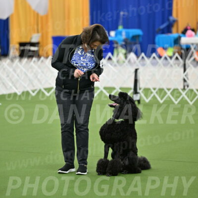 Ring-1-Morning-Obedience_0532