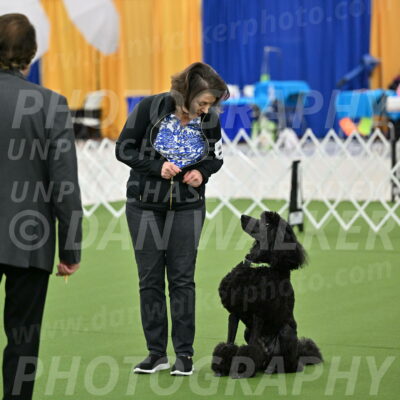 Ring-1-Morning-Obedience_0534