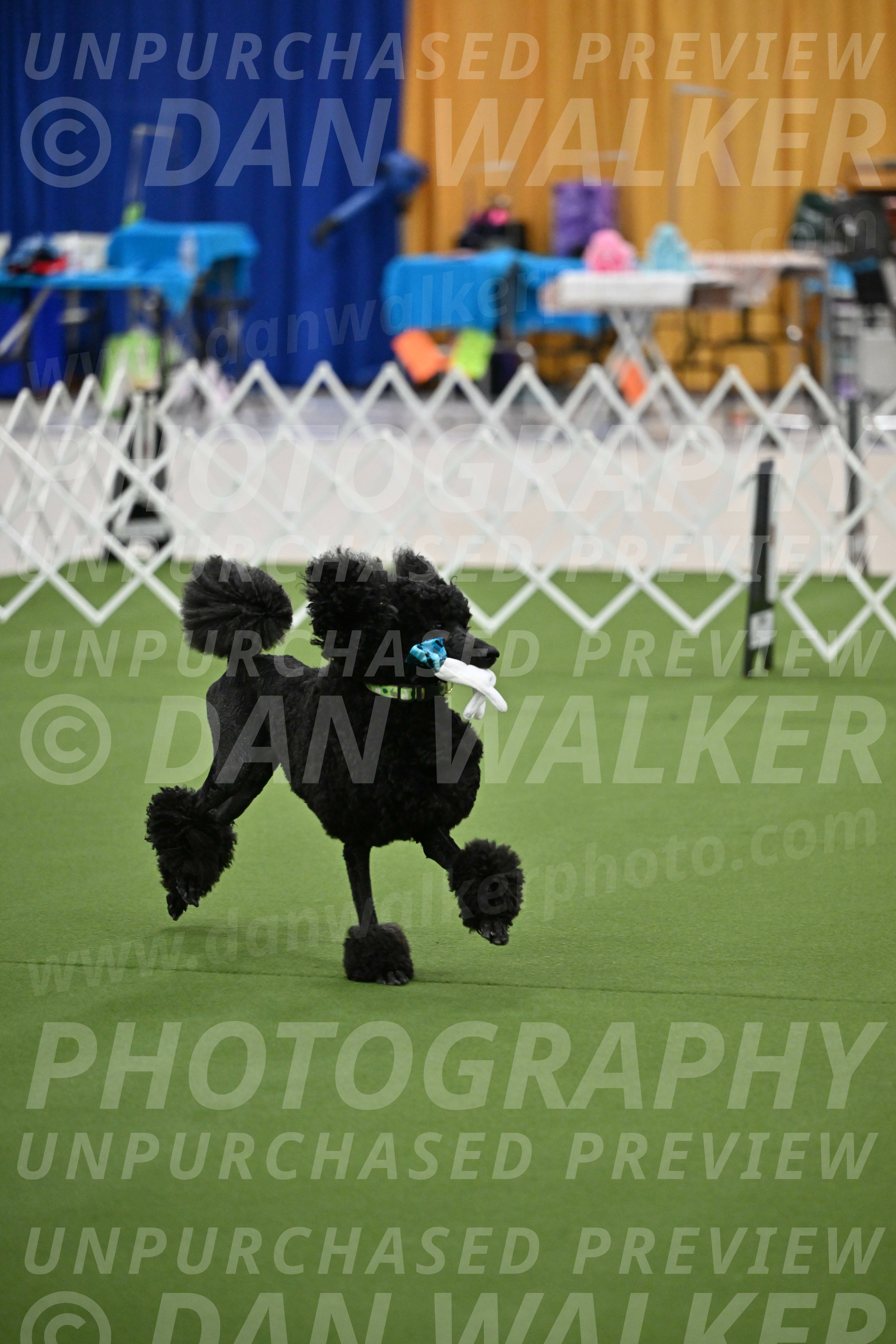 Ring-1-Morning-Obedience_0536