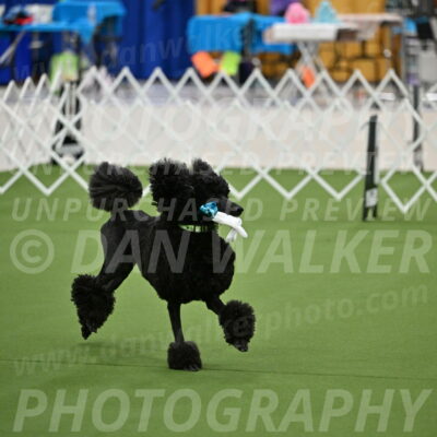 Ring-1-Morning-Obedience_0536