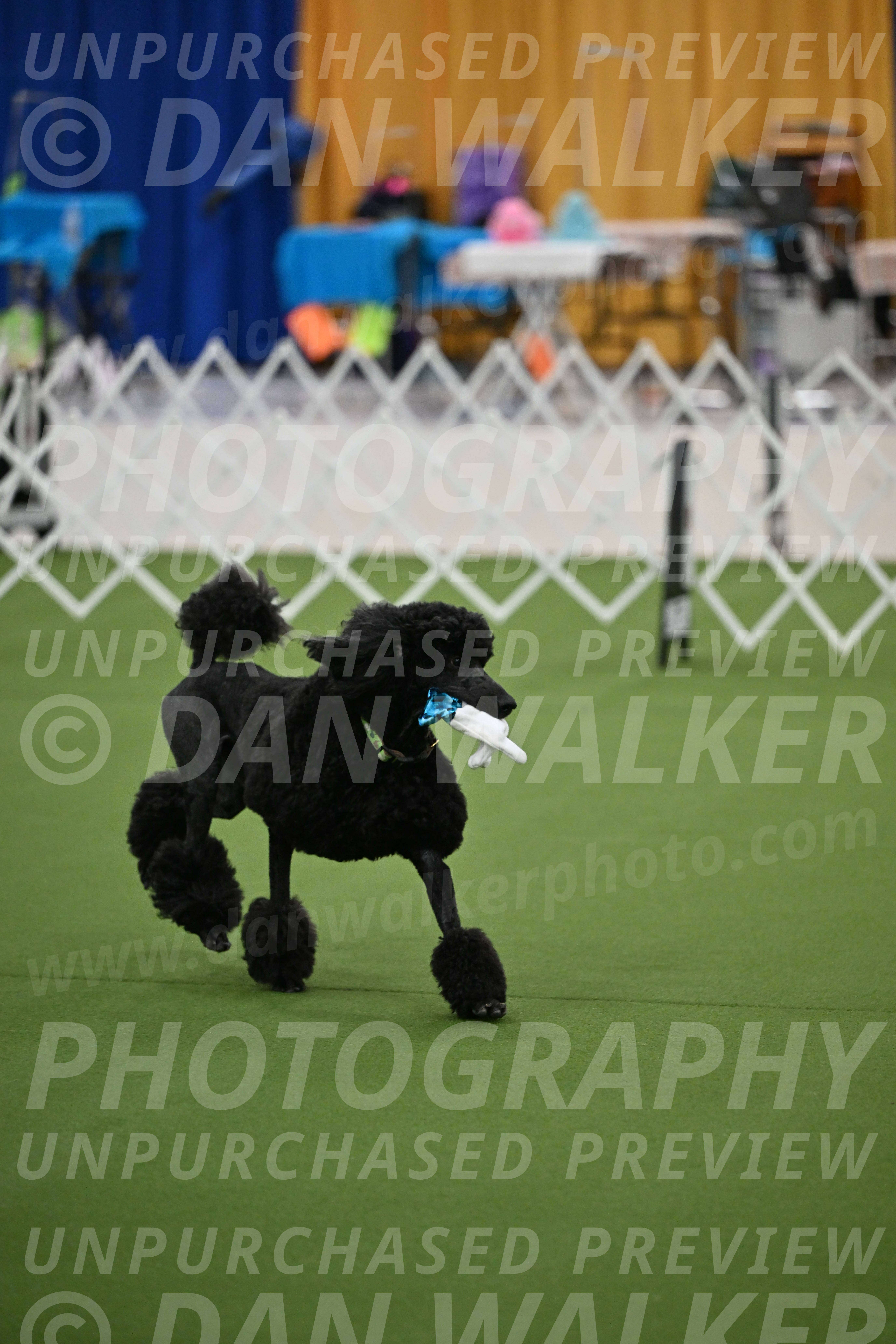 Ring-1-Morning-Obedience_0537