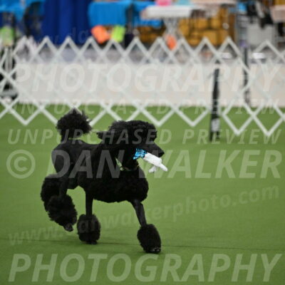 Ring-1-Morning-Obedience_0537