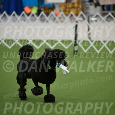 Ring-1-Morning-Obedience_0538