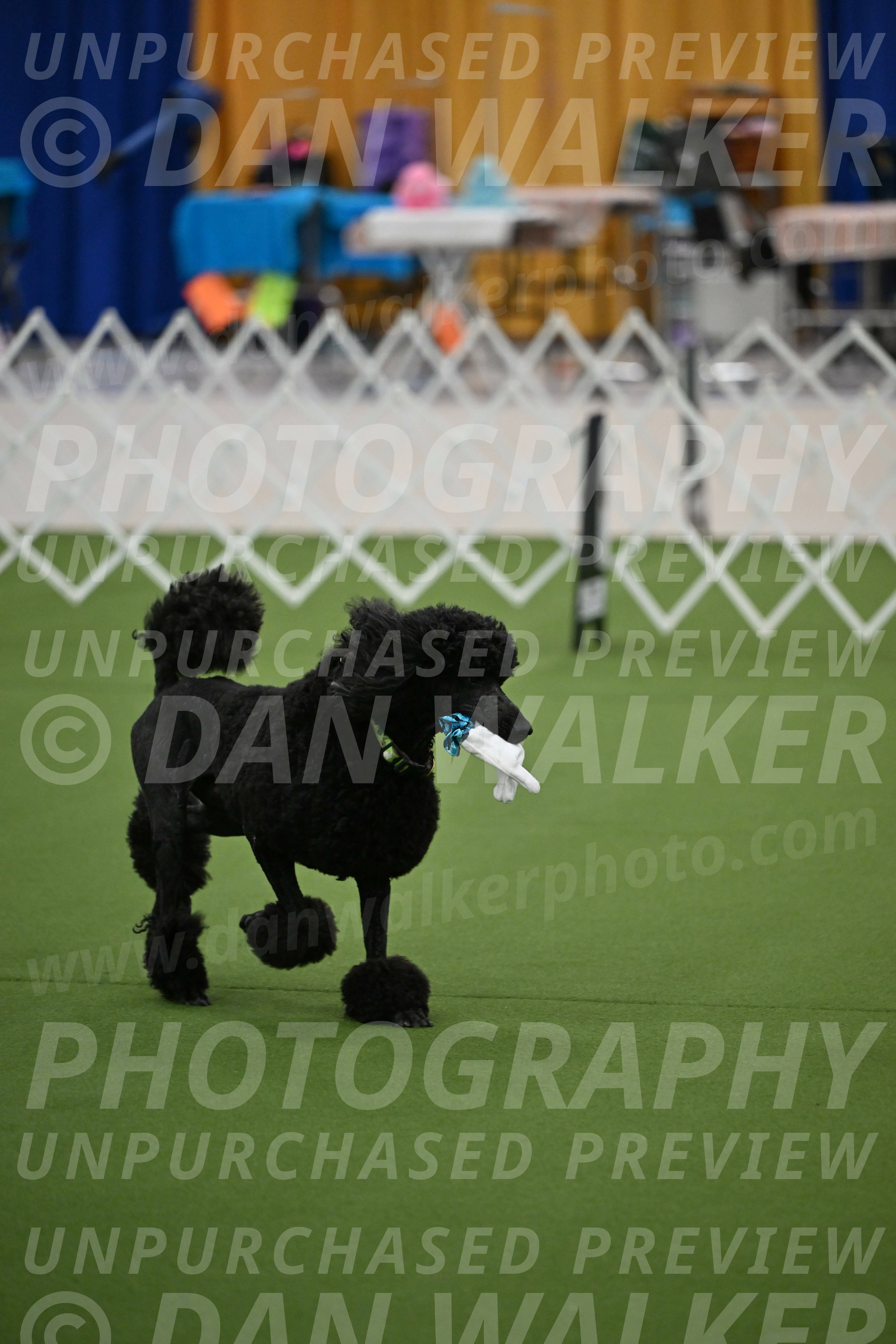 Ring-1-Morning-Obedience_0538