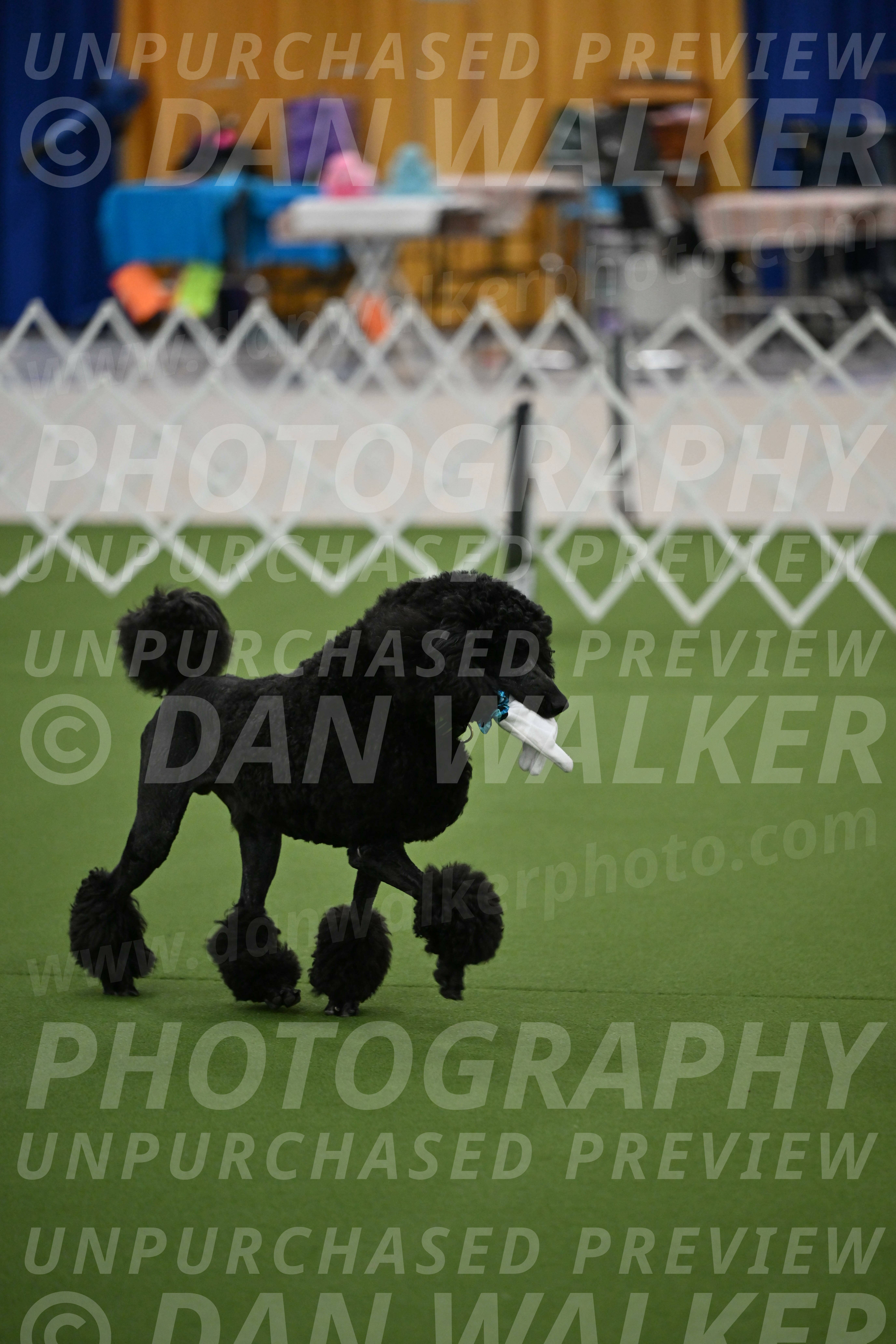 Ring-1-Morning-Obedience_0539