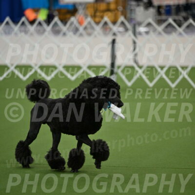 Ring-1-Morning-Obedience_0539