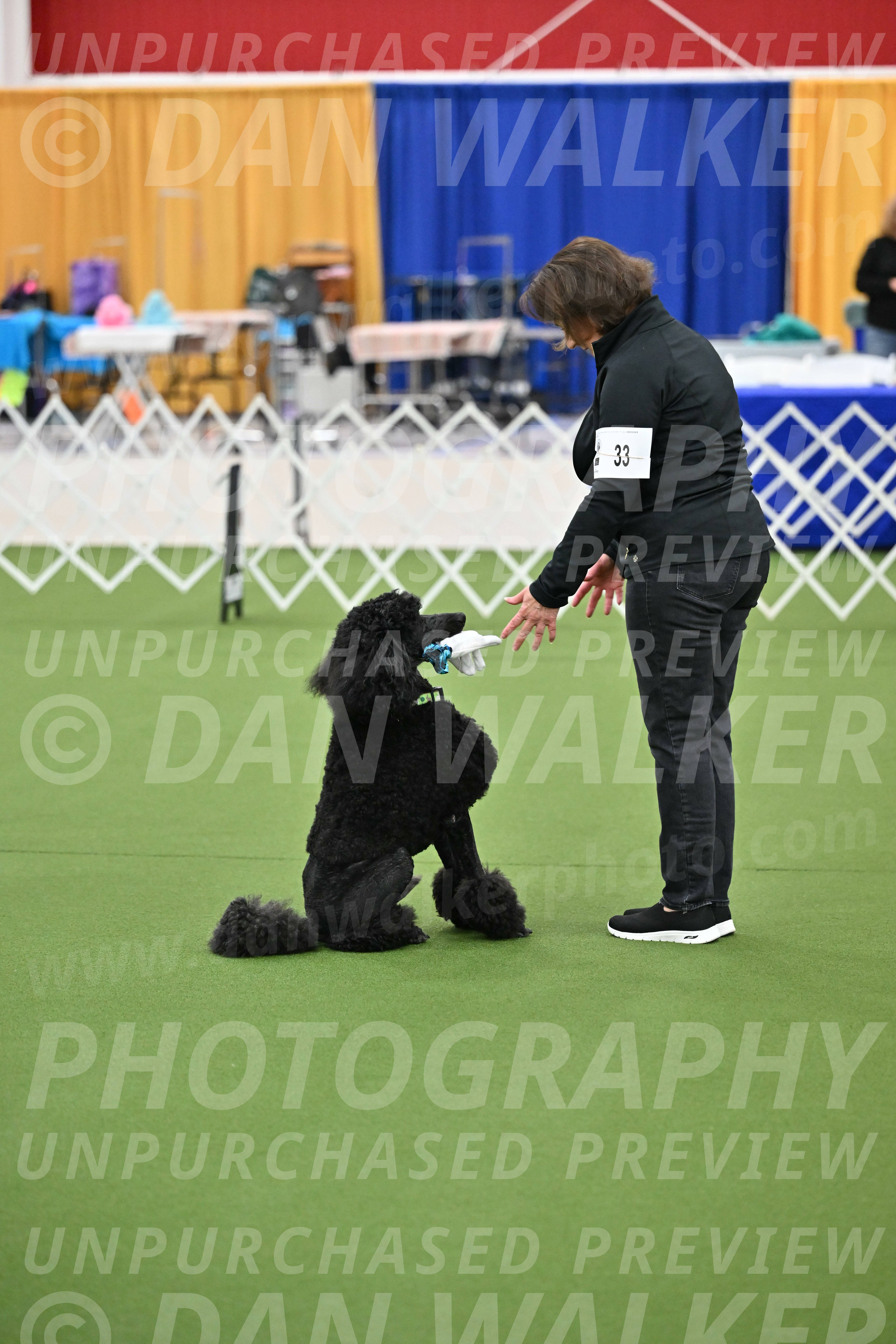 Ring-1-Morning-Obedience_0541