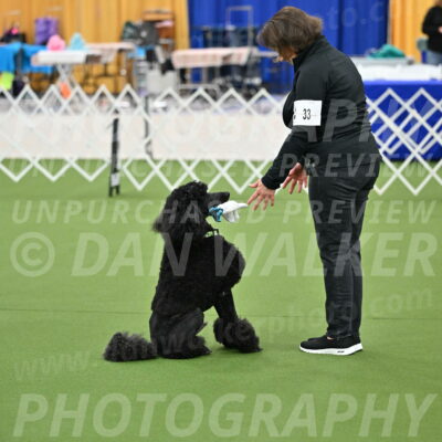 Ring-1-Morning-Obedience_0541