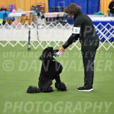 Ring-1-Morning-Obedience_0542