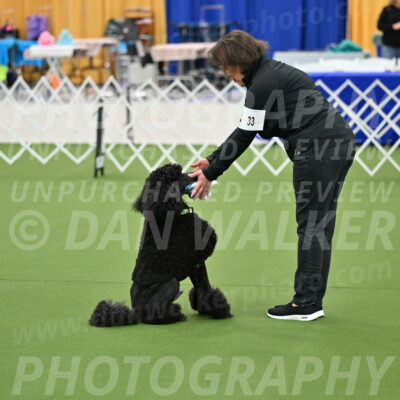 Ring-1-Morning-Obedience_0543