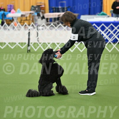 Ring-1-Morning-Obedience_0544