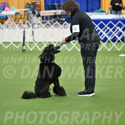 Ring-1-Morning-Obedience_0546