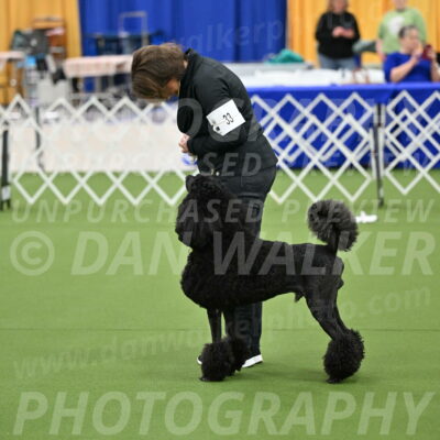 Ring-1-Morning-Obedience_0548