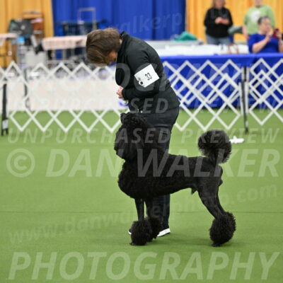 Ring-1-Morning-Obedience_0549