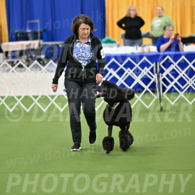 Ring-1-Morning-Obedience_0556