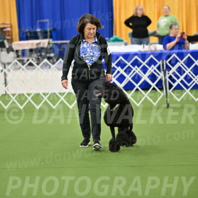 Ring-1-Morning-Obedience_0557