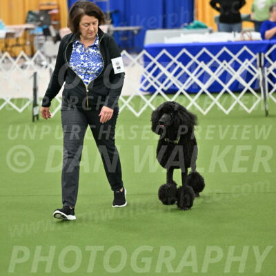 Ring-1-Morning-Obedience_0567