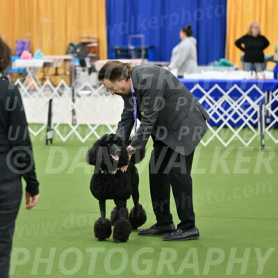 Ring-1-Morning-Obedience_0569